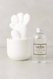 cactus porcelain diffuser porcelain diffuser diffuser house smells