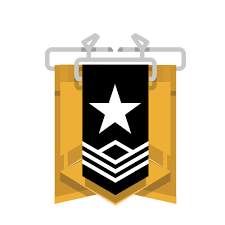 As you can see from the successive graphs, there are huge differences between the first and the second year. R6 Mr Matt3pro9 S Stats Overview R6db