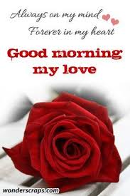Good Morning Good Morning And How Do You Do Good Morning My Love Morning Good Morning Morning Quotes Good Morning Quotes Good Morning Love Morning Sweetheart Good Morning My Love Morning Love Quotes