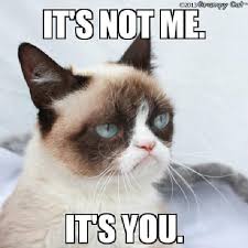 Grumpy Cat I Feel Like This All The Time Funny Grumpy Cat Memes Grumpy Cat Grumpy Cat Meme