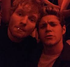 Niall Horan Chile 🇨🇱 (@niallfruna) · Instagram photos and Reels