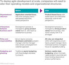 an operating model for company wide agile development mckinsey