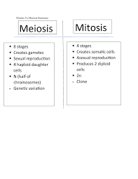 Mitosis vs meiosis worksheet answer key. Mitosis Vs Meiosis Summary Studocu