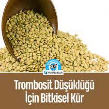 Trombosit Dusuklugu Icin Bitkisel Kur Tarifi Beslenme Saglikli Yasam Ve Saglikli