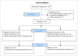 Plan Of The Study As Flow Chart Download Scientific Diagram