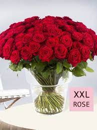 Großer blumenstrauß xxl mit 50 roten rosen. 100 Rosen Versenden Surprose