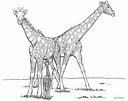 Giraffe coloring page to download and print. Get This Giraffe Coloring Pages Printable 74168