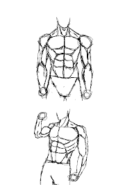 Pirated software hurts software developers. Pixilart Male Anatomy Sketching 1 By Just Neo