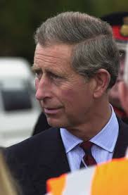 105 Rededication Ceremony Image: PICRYL