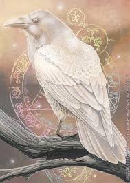 Black And White Raven Art 36 Ideas For Bird Black And White Crows Ravens Raven Artwork Raven Art Crow Art