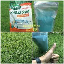 Jual rumput golf di lampung kwalitas nomer 1 bibit pilihan terbaik di indonesia wa 085851472116. Jual Benih Rumput Biji Rumput Taman Di Lapak Indograss Bukalapak
