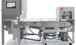 Satake BELTUZA Optical Belt Sorter