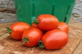 Plant your seeds indoors 10. Mariana Tomato Not Treated Seedway