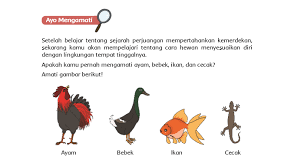 Demikianlah artikel yang berjudul kunci jawaban buku siswa tema 1 kelas 5 halaman 56, 57, 60, 61, 62. Gqil5exskaz5um