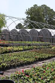 Mcdonald Garden Center Growing Facility Hampton Virginia Garden Center The Hamptons Virginia