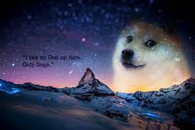 The Best Dual Monitor Wallpapers Digital Trends Animals Dual Screen Wallpaper Doge Meme