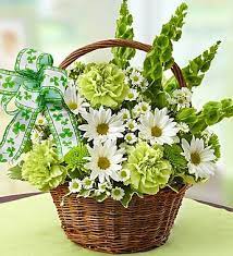 We believe in the power of flowers, gift baskets & all things gifting. St Patrick S Day Flower Basket Basket Flower Arrangements Hydrangea Flower Arrangements Flower Arrangements