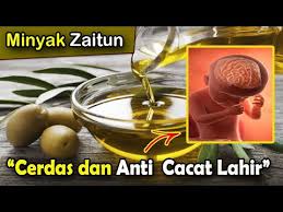 Firman allah s.w.t yang bermaksud: Berguna Penting Manfaat Minyak Zaitun Untuk Ibu Hamil Untuk Menambah Kecerdasan Dan Minimalisir Cacat Lahir Bagus Di 2021 Rabab Minangkabau