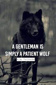 We did not find results for: Werewolf Quotes Tumblr The Gentleman Wolf Tumblr Dogtrainingobedienceschool Com