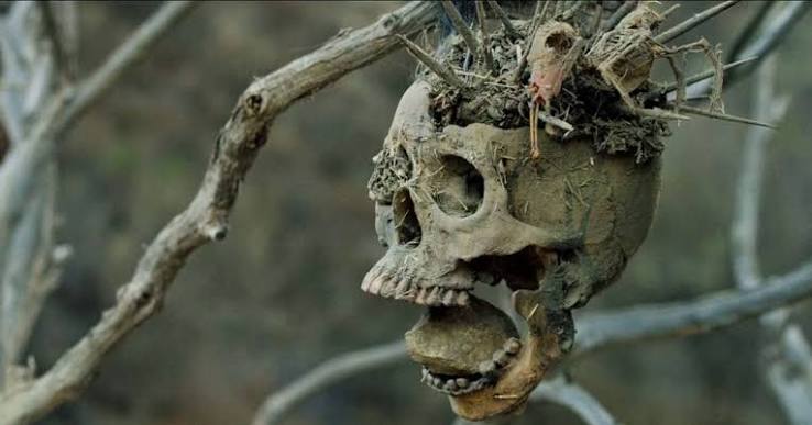 Bone Tomahawk: The Scariest Western Ever Made