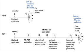 pct national phase entry global patent filing