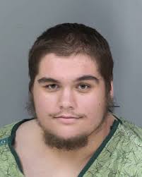 John Chiv: Jesse Widmark charged with 5 counts and several special  allegations and that is just one case