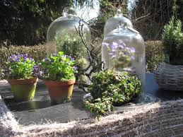 Hortulus Uphoff Der Glasglockenshop Frostschutz Haus Und Garten Veilchen