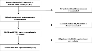 Breast cancer that spreads into normal tissue is. Trastuzumab Treatment Beyond Brain Progression In Her2 Positive Metastatic Breast Cancer Annals Of Oncology