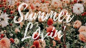 Mac wallpaper aesthetic iphone wallpaper laptop wallpaper cute wallpapers ipad wallpaper desktop wallpaper art peach wallpaper wallpaper notebook peach aesthetic. 1001 Ideas For Cute Wallpapers That Bring The Summer Vibe
