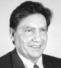 Groundwater Flow Understanding: From Local to Regional Scale (IAH Selected  Papers