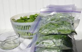 In either case, you do not need to blanch the spinach if you plan to use your freezer spinach within six months. Quick And Easy Way To Freeze Fresh Spinach Food Storage Moms