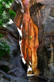 Kanarra creek is a beautiful little canyon in blm land north of the kolob section of zion national park, located above the hurricane cliffs just east of the little town of kanarraville. Kanarra Creek Falls Your Hike Guide