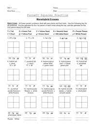 The nature of monohybrid cross practice problems worksheet in learning. Punnett Square Practice Problems Worksheet Punnett Square Monohybrid Cross Worksheets With Images In 2020 Punnett Squares Genetics Genetics Practice Problems
