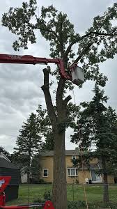 Branch Specialists Buffalo Ny | Buffalo NY