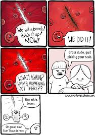 Don T Pick At Your Scabs People Biology Humor Funny Comic Strips Science Memes