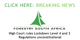 In late march, the country entered into lockdown in a bid to stop the spread of the coronavirus. 31 July High Court Rules Lockdown Level 4 And Level 3 Regulations Unconstitutional Forestry South Africa Official Site