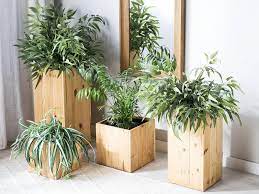 Le soluzioni indoor vanno dallo stile classico a quello contemporaneo per coordinarsi in modo armonico. Vasi E Portavasi Per Arredare Al Meglio Con Le Piante Cose Di Casa
