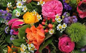 We did not find results for: Ambrosia Floral Boutique Ambrosiafloral Twitter