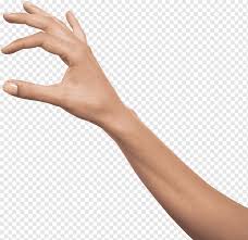 Handshake Arm Arm Angle Text Hand Png Pngwing Handedness finger thumb, left hand png. handshake arm arm angle text hand