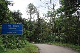 Kuala koh is the gateway to the northern section of taman negara (the other gateways being kuala tahan as well as sungai relau in pahang and tanjung. Taman Negara Kuala Koh Life With Nature