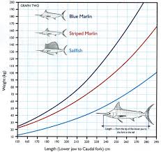 Marlin And Sailfish Graph Fishing Fishwrecked Com