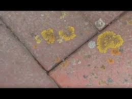 Pflastersteine Mit Hausmitteln Ohne Hochdruckreiniger Reinigen Betonsteine Terrassensteine Hof Youtube