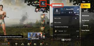 Pubg mobile official pubg on mobile. Pubg Mobile 442 Uc Direct Top Up Swift Netflix Digital Gift Card Service