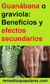Contraindicaciones De Consumir Guanabana Healty Food Natural Remedies Health