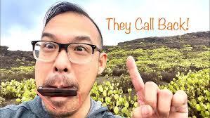 Golden Trout Wilderness ▻ Short Backpack Trip