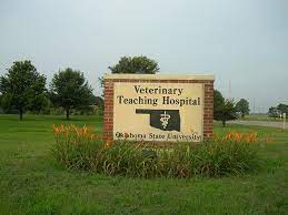 Osu Vet School Sign Vet School Vets Vet Med