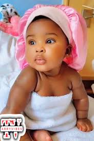 Shallipopi & Zerry dl