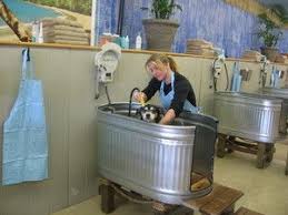 Self Serve Dog Wash Sacramento Splash Hound Usa West Sacramento Dog Grooming Tubs Dog Washing Station Dog Tub