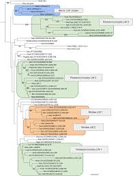 We continually improve our methods for controlling and eliminating pest invasions, bringing home and business owners lasting peace of. Brown Marmorated Stink Bug Halyomorpha Halys Stal Genome Putative Underpinnings Of Polyphagy Insecticide Resistance Potential And Biology Of A Top Worldwide Pest Bmc Genomics Full Text