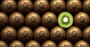 I bought some very pretty items. Global Kiwi Fruit Market 2019 New Zealand And Italy Are The Leading Exporters Of Kiwi Fruits Global Trade Magazine